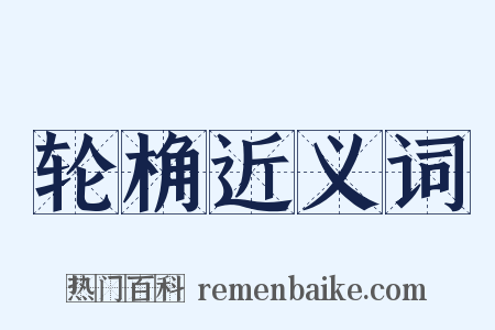 轮桷近义词是什么意思的图片